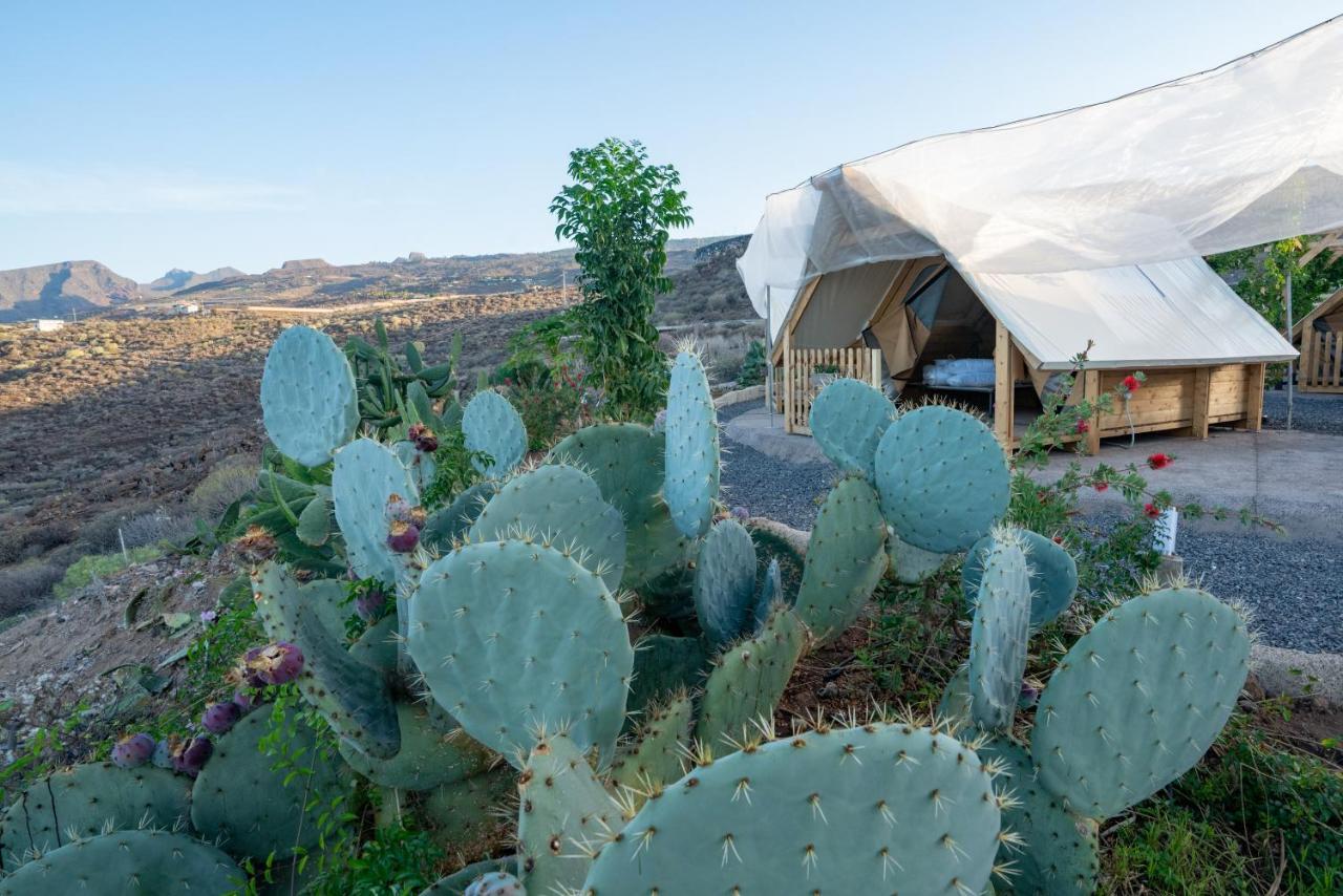 Finca Gaia La Segunda เกีย เด อิโซรา ภายนอก รูปภาพ