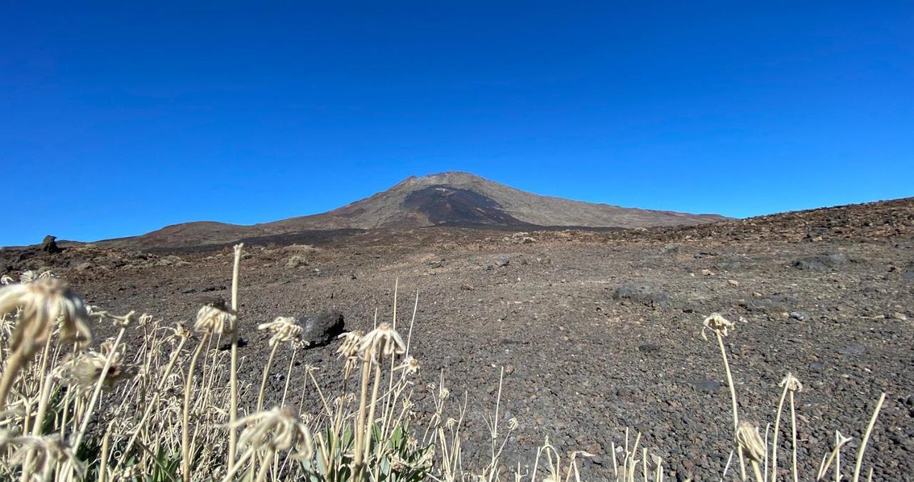 Finca Gaia La Segunda เกีย เด อิโซรา ภายนอก รูปภาพ