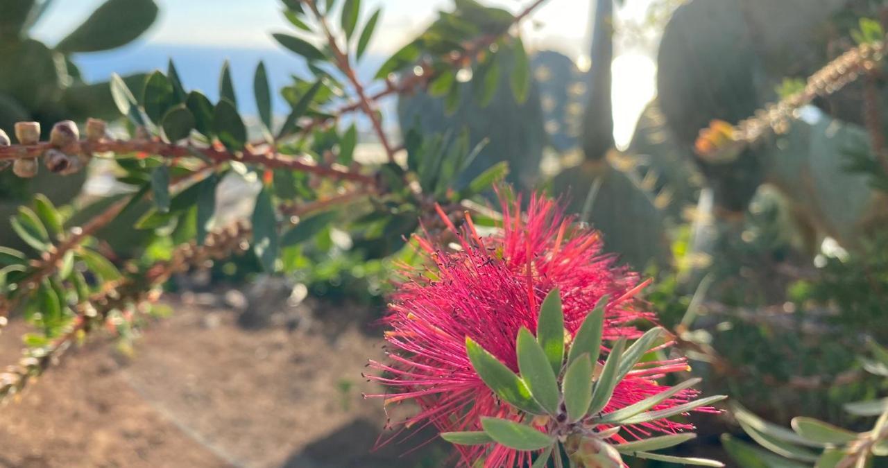Finca Gaia La Segunda เกีย เด อิโซรา ภายนอก รูปภาพ