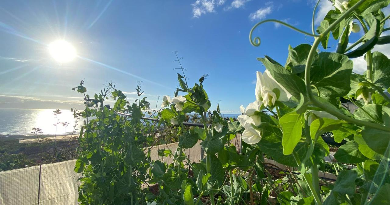 Finca Gaia La Segunda เกีย เด อิโซรา ภายนอก รูปภาพ