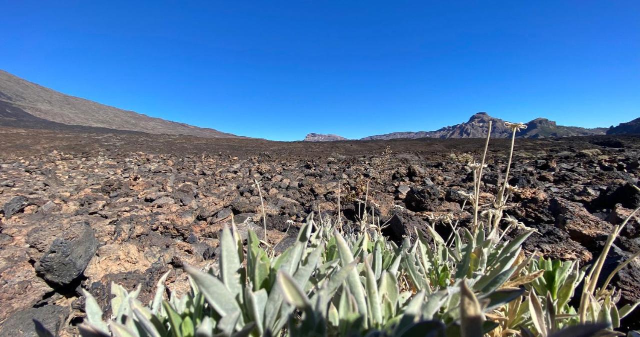 Finca Gaia La Segunda เกีย เด อิโซรา ภายนอก รูปภาพ