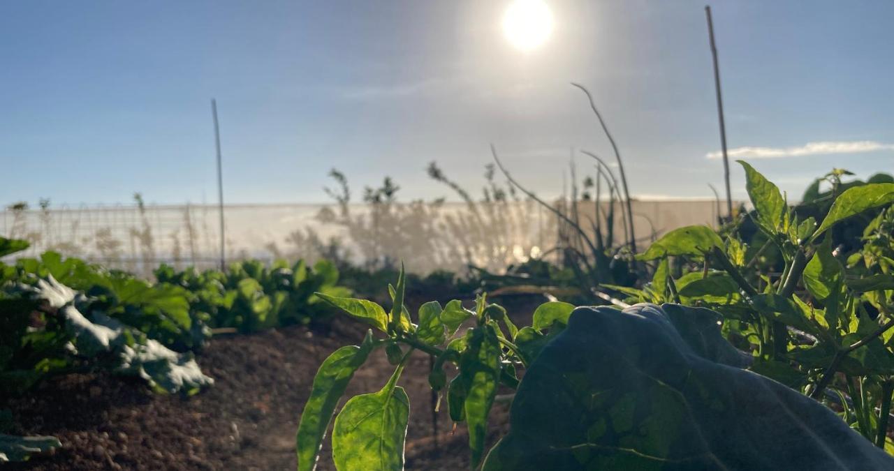 Finca Gaia La Segunda เกีย เด อิโซรา ภายนอก รูปภาพ