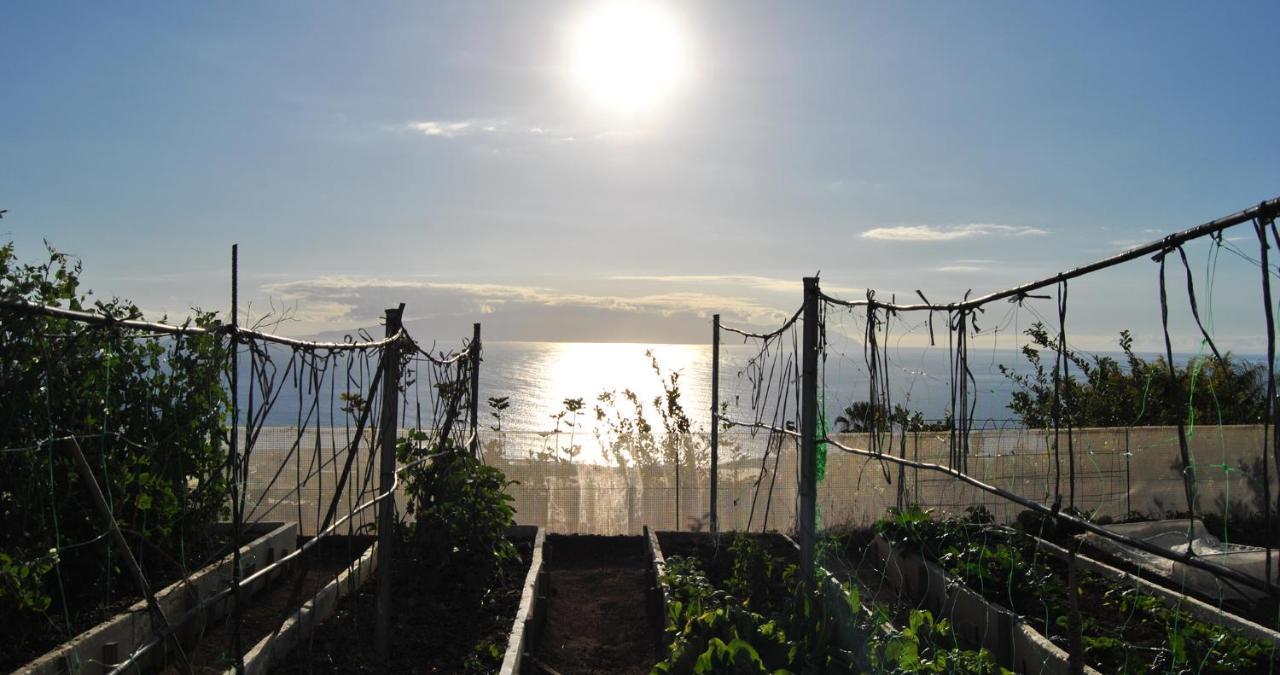 Finca Gaia La Segunda เกีย เด อิโซรา ภายนอก รูปภาพ