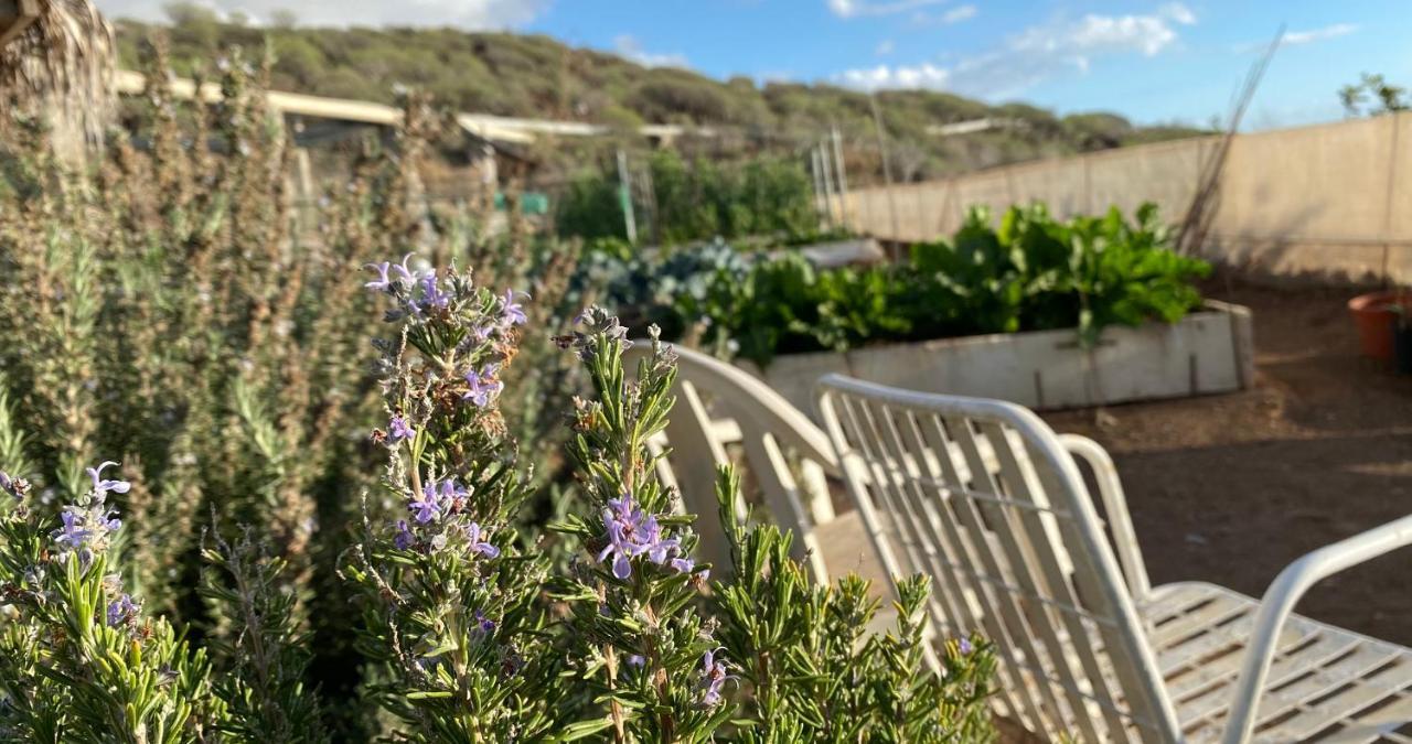 Finca Gaia La Segunda เกีย เด อิโซรา ภายนอก รูปภาพ