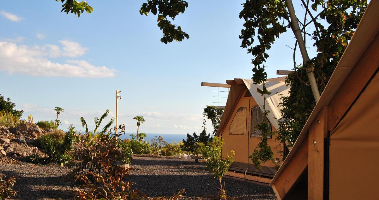 Finca Gaia La Segunda เกีย เด อิโซรา ภายนอก รูปภาพ